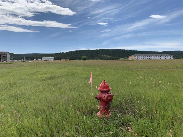 12.19 Acres in Summerset